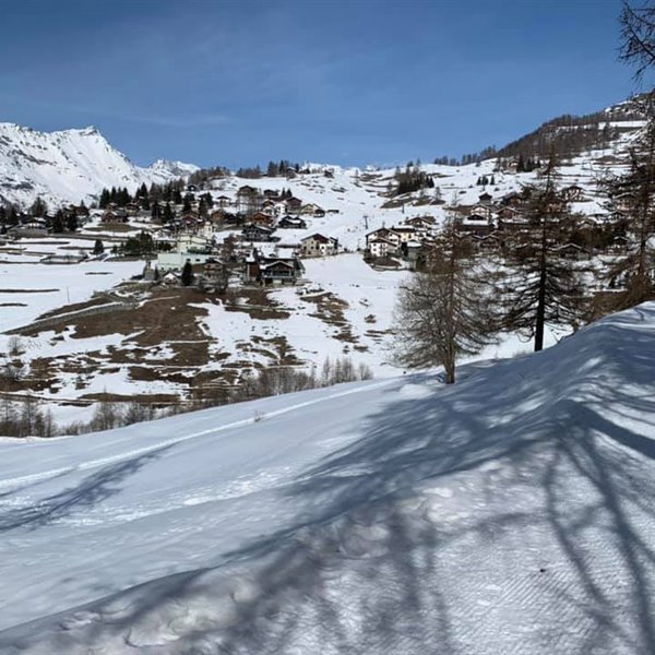 - Chamois - Febbraio 2021 foto di Gianluca Tronconi - <p>Una bella Galleria di una bella giornata di sole sulla neve dell&#39;Altoporto di Chamois.</p>
