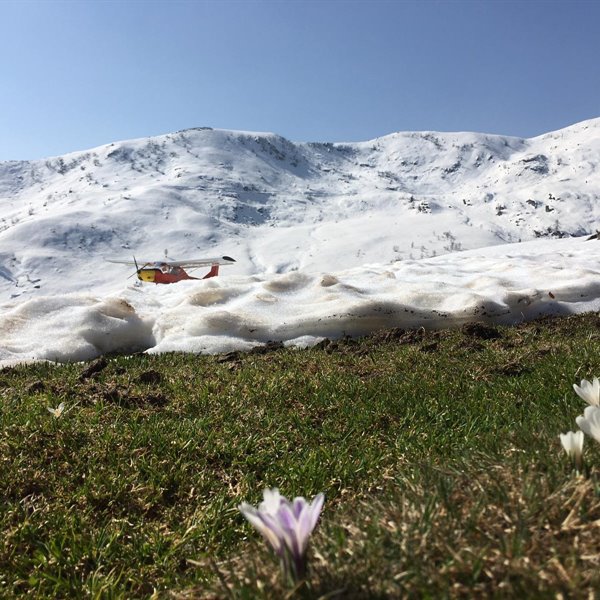 - Aprile 2021 - Foto di Marco Bulgheroni - <p>Altra splendida giornata di sole sulla neve... in aereo!</p>
